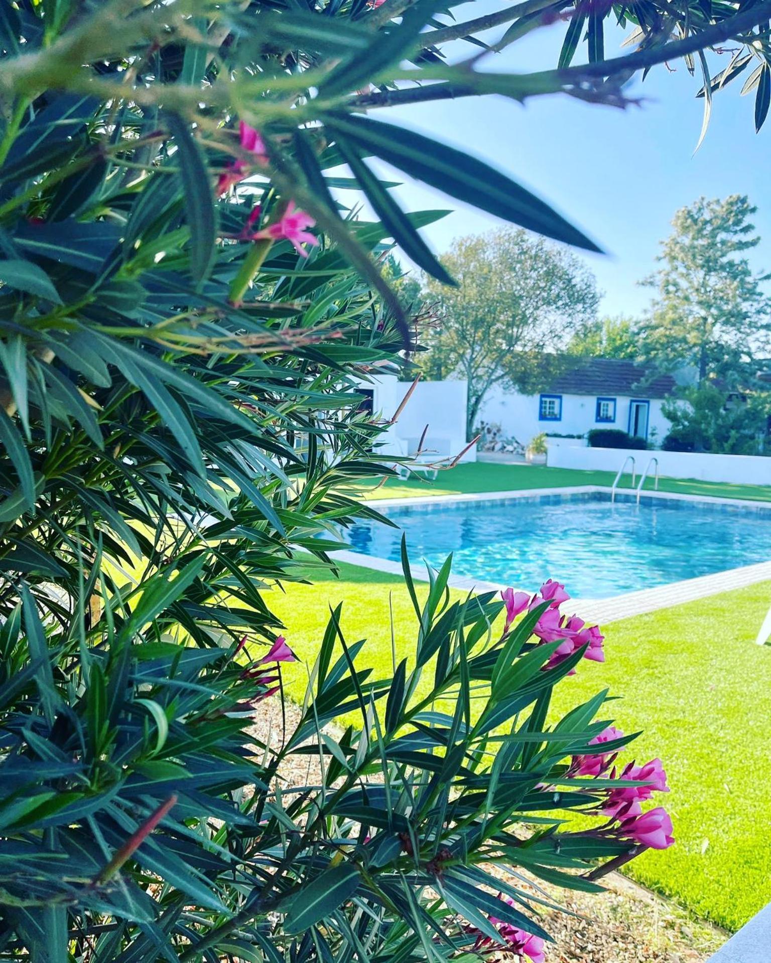 Na Quinta- Alojamento Rural Com Piscina De Agua Salgada Poceirao Экстерьер фото