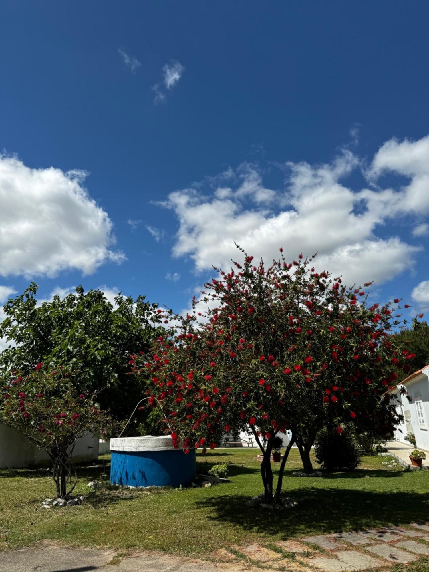 Na Quinta- Alojamento Rural Com Piscina De Agua Salgada Poceirao Экстерьер фото