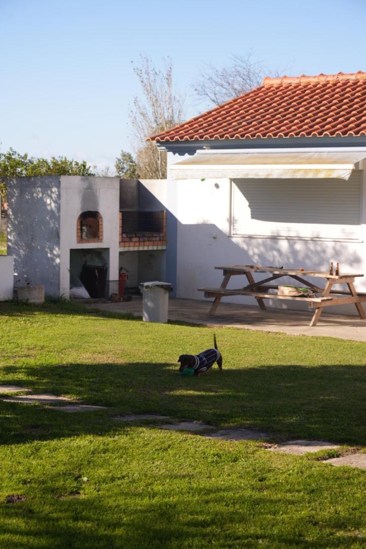 Na Quinta- Alojamento Rural Com Piscina De Agua Salgada Poceirao Экстерьер фото